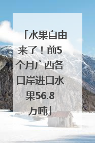 水果自由来了！前5个月广西各口岸进口水果56.8万吨